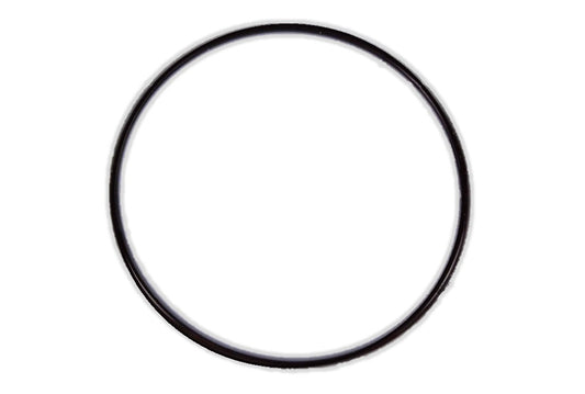 31123-97E10 Suzuki Power Trim O-Ring DF40/50/60