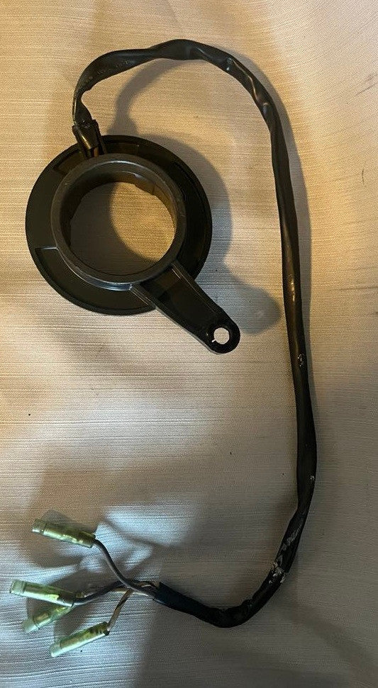 USED 99021A16 Mercury Trigger  60hp