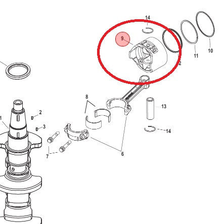 700-8M0057776 Quicksilver Oversized Bare Piston Assy 0.50